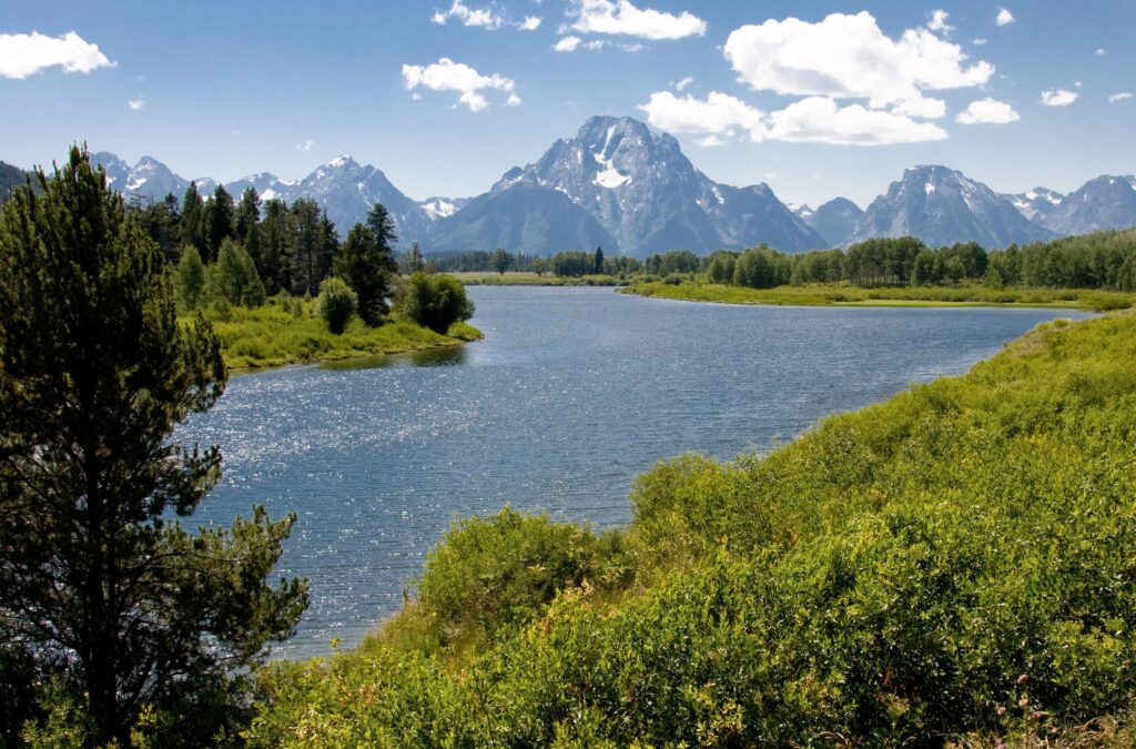 Mt. Moran
